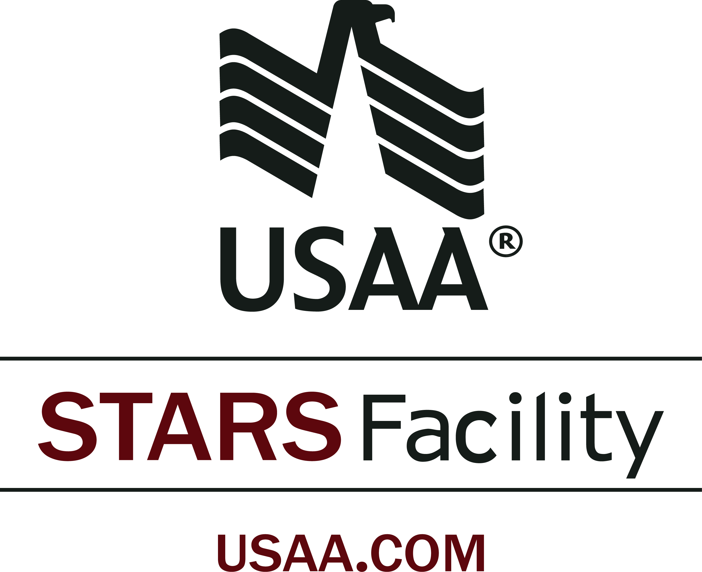 usaa-logo2